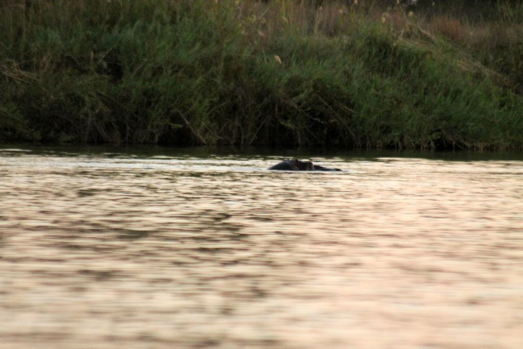 Camp Hogo Kavango Rundu Extérieur photo